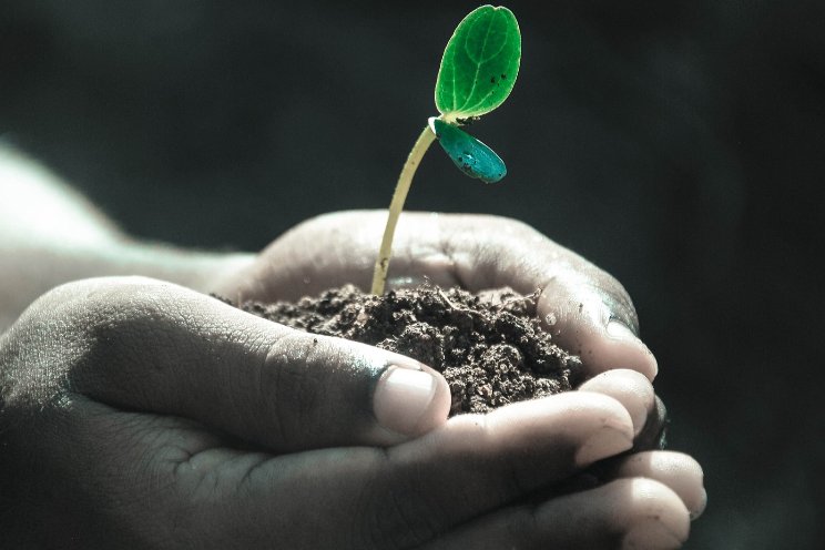 Nieuw educatief programma over plantgezondheid