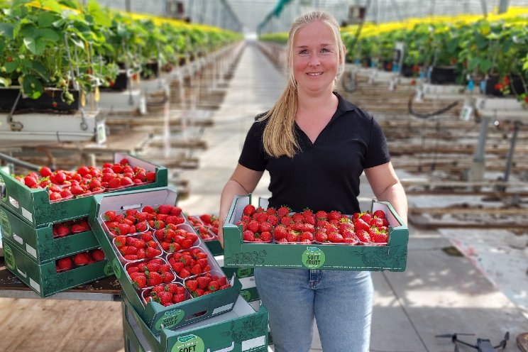 Inspire-aardbeien veroveren de wereld