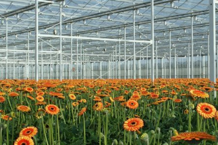 Meer BOS’en toegevoegd aan IPM Decisions platform Meer BOS’en toegevoegd aan IPM Decisions platform