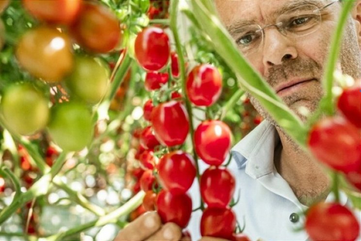 Harvest House verlengt klimaatkeurmerk Harvest House verlengt klimaatkeurmerk