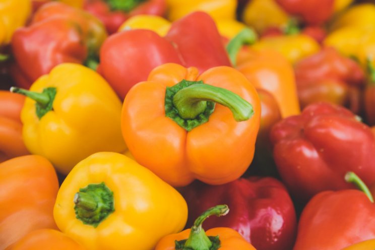 Protocol Paprika opgesteld Protocol Paprika opgesteld