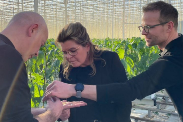 Minister Vd Wal bezoekt Wijnen Square Crops Minister Vd Wal bezoekt Wijnen Square Crops
