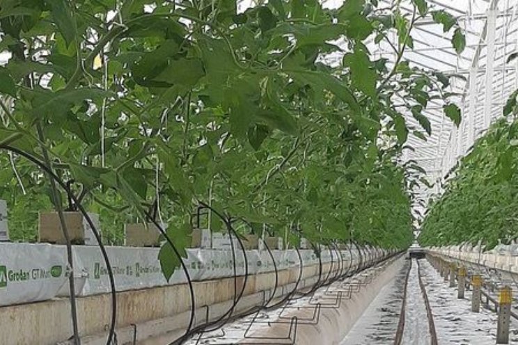 Projectgroep OSIRES van start met kasproeven Projectgroep OSIRES van start met kasproeven