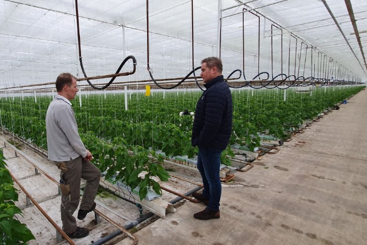 Tevreden peperteler stapt volledig over op Growbags