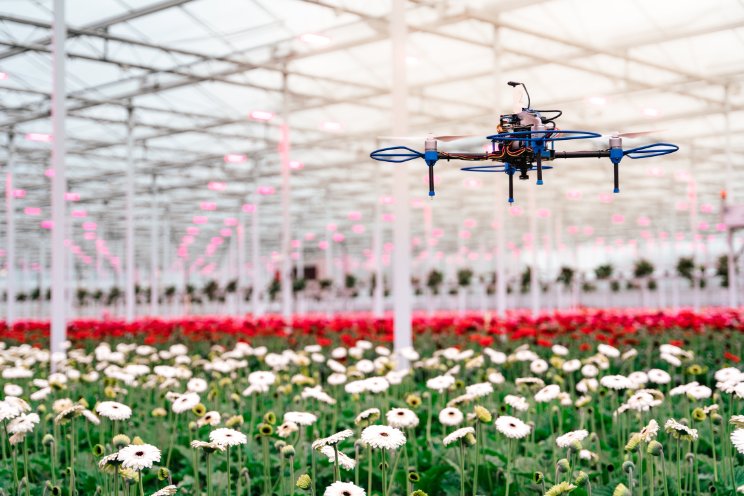 Drone vliegt door de kas bij Gerbera United