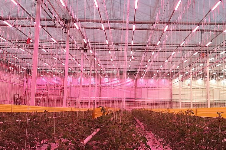 Knelpunten uitgangspunt vervolg 'LED in tomaat' Knelpunten uitgangspunt vervolg 'LED in tomaat'
