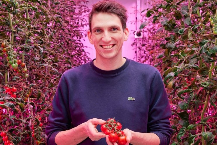 Tomaten verticaal telen Tomaten verticaal telen