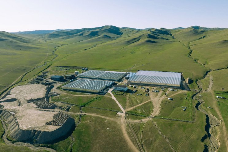 Komkommer in Mongolië