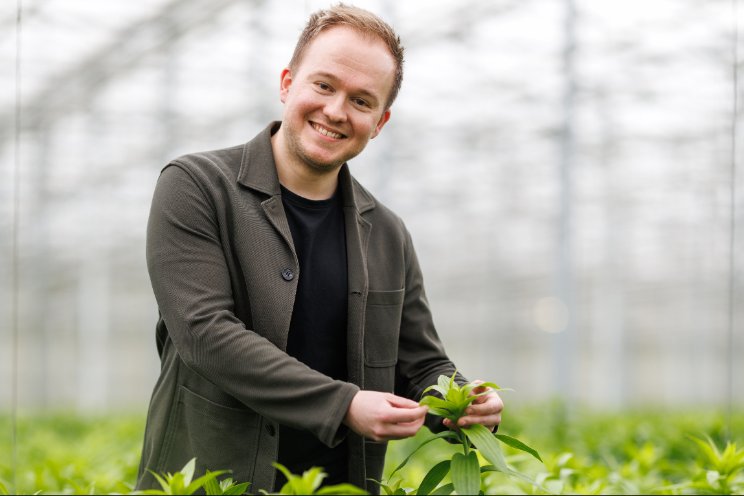 Groen middel Velifer steeds populairder in de tuinbouw