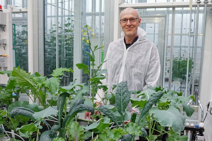 'Gezonde inhoudsstoffen identificeren'