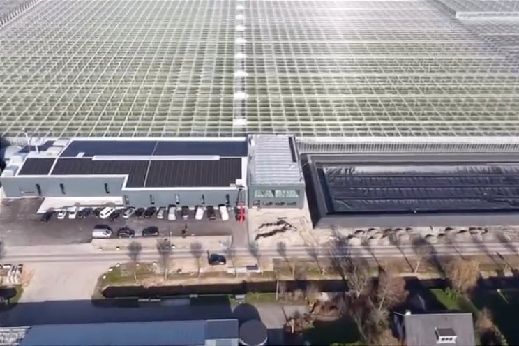 'Laat de zon maar schijnen'