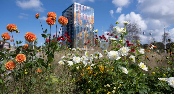 Zondag officiële sluiting Floriade Expo 2022