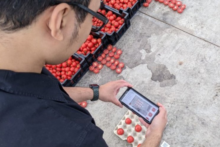 App analyseert uiterlijk tomaat in seconden App analyseert uiterlijk tomaat in seconden