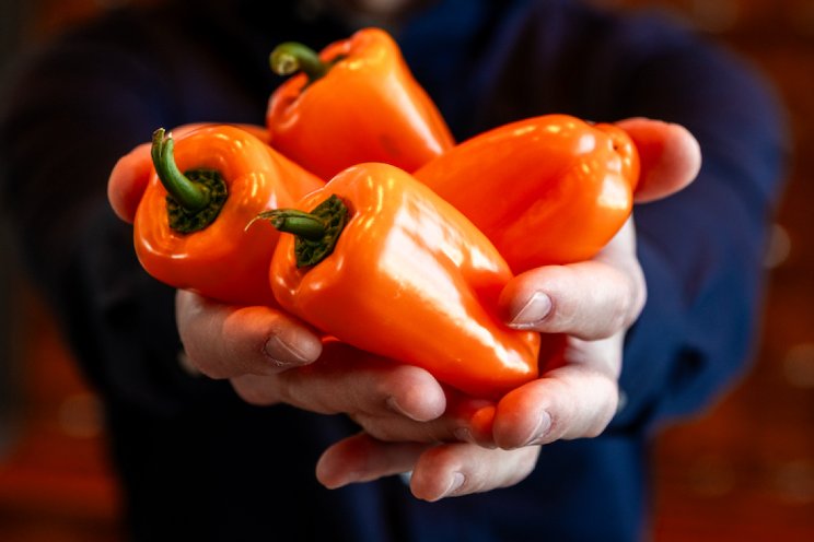 'Smaakpaprika's voorzien in consumentenbehoefte' 'Smaakpaprika's voorzien in consumentenbehoefte'