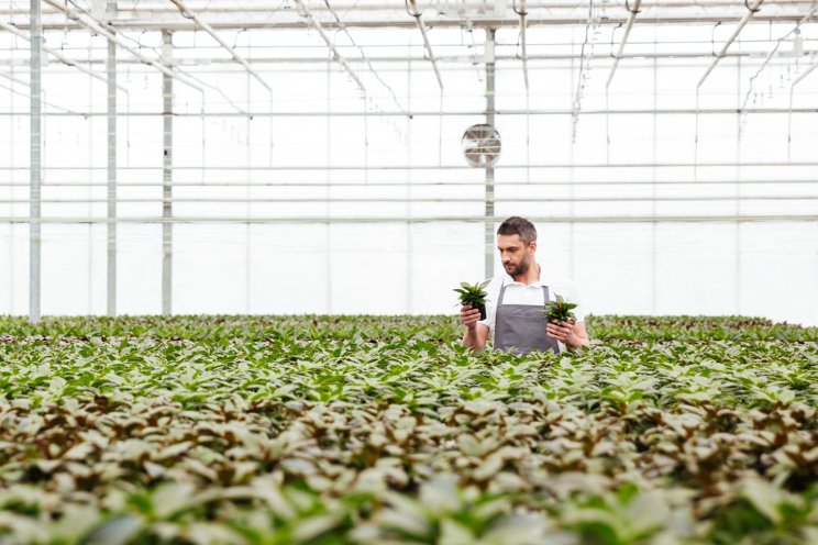 Biobest wil Amerikaanse BioWorks overnemen Biobest wil Amerikaanse BioWorks overnemen