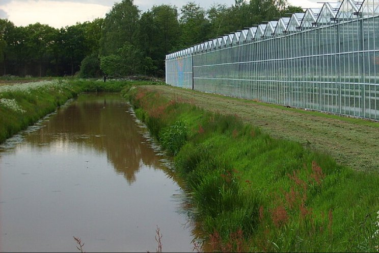 Glastuinbouw Waterproof inventariseert vragen