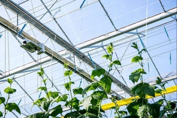 AgroEnergy organiseert webinar Energiemarkten 
