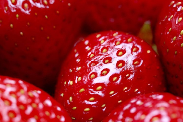 Landelijke Aardbeiendag op woensdag 8 januari Landelijke Aardbeiendag op woensdag 8 januari