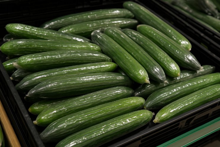 'Verspilde komkommer even slecht als 75 verpakkingen'
