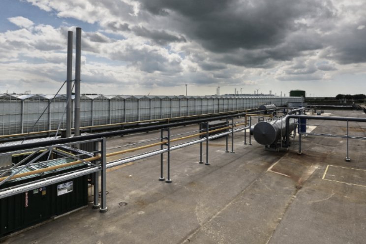 Aandeel geothermie blijft groeien in glastuinbouw Aandeel geothermie blijft groeien in glastuinbouw