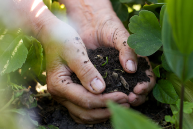 Microbiologische kwaliteit groeimedia onder de loep