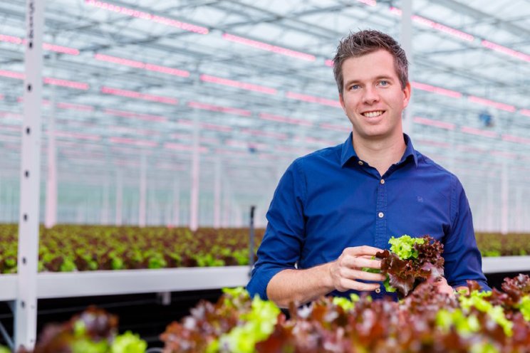 Verrood in tomatenteelt: wel of niet verstandig? Verrood in tomatenteelt: wel of niet verstandig?