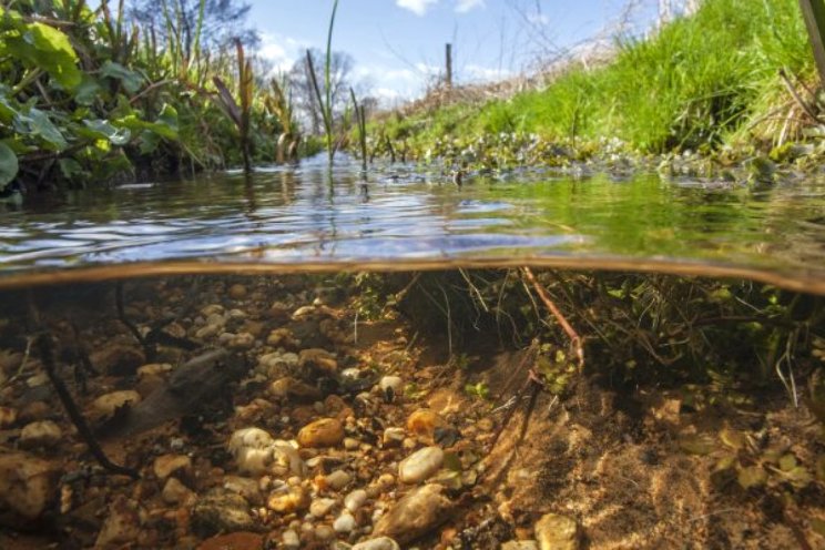 'Uitdagingen water zijn complex en dynamisch' 'Uitdagingen water zijn complex en dynamisch'