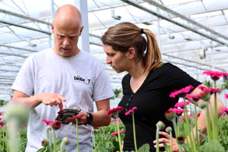 Crop-Scanner-webportaal Biobest verbeterd Crop-Scanner-webportaal Biobest verbeterd