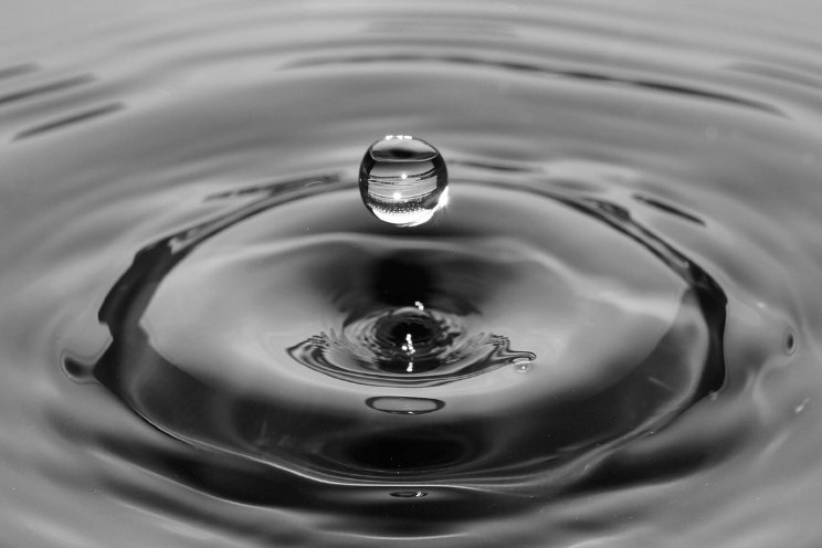 Professionalisering Watercoach gaat door Professionalisering Watercoach gaat door