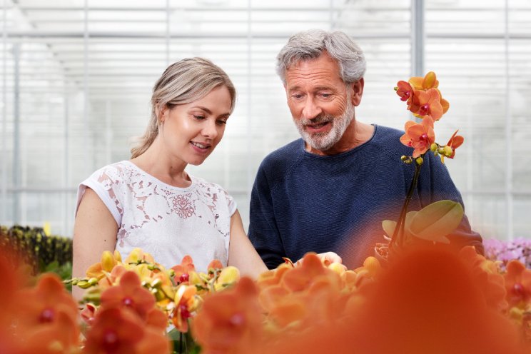 Ambities en vragen voor tuinbouw Zuid-Holland