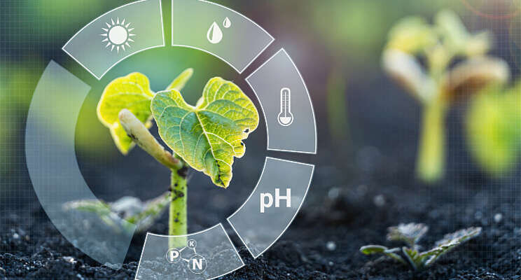 Project voor nieuwe generatie IoT-systemen plantenteelt Project voor nieuwe generatie IoT-systemen plantenteelt