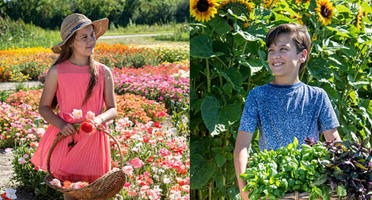 2022 is het Jaar van Papaver en Basilicum 2022 is het Jaar van Papaver en Basilicum