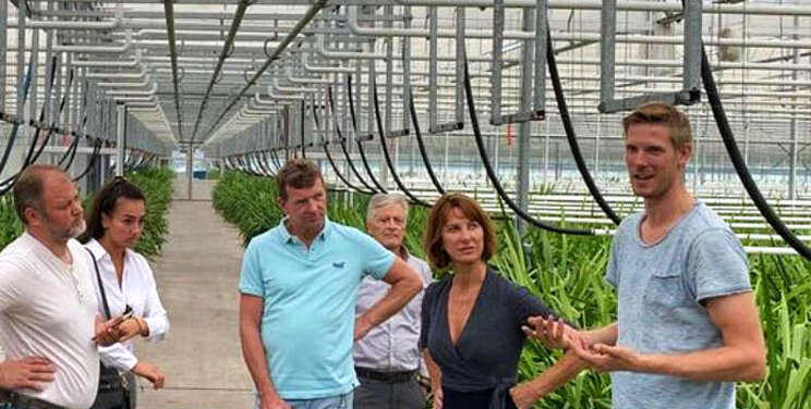 Internationale interesse innovatieve glastuinbouw Internationale interesse innovatieve glastuinbouw