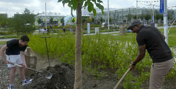 Roué Verveer plant speciale boom op de Floriade Roué Verveer plant speciale boom op de Floriade