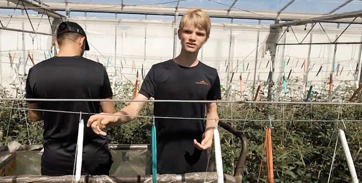 Vlog uit de Kas: Ties Vlog uit de Kas: Ties