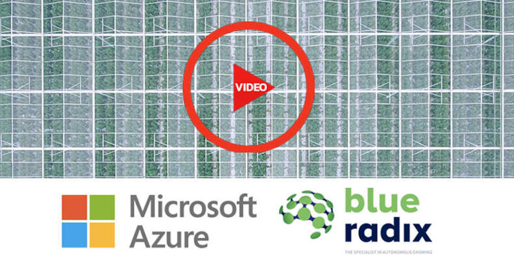Microsoft maakt video over samenwerking Blue Radix Microsoft maakt video over samenwerking Blue Radix