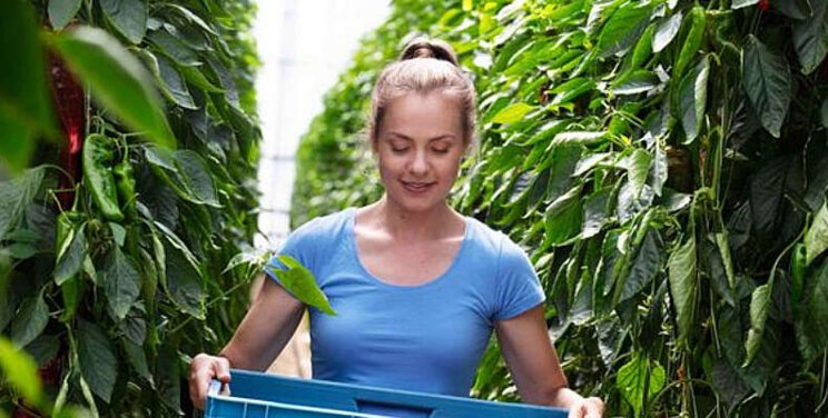 28% Nederlanders ziet werken in tuinbouw zitten 28% Nederlanders ziet werken in tuinbouw zitten