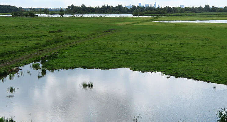 Creatieve oplossingen gietwatertekort Pijnacker Creatieve oplossingen gietwatertekort Pijnacker