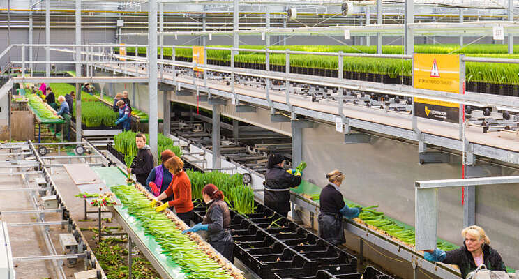 HT Verboom wordt onderdeel van GreenV HT Verboom wordt onderdeel van GreenV