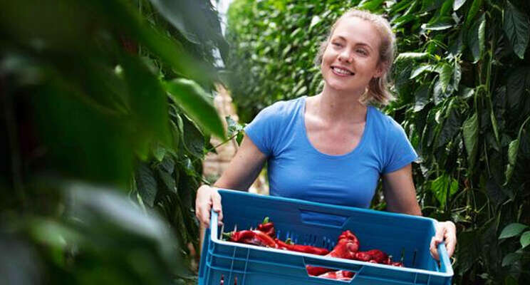'Gewasbescherming' ter toetsing naar inspectie 'Gewasbescherming' ter toetsing naar inspectie