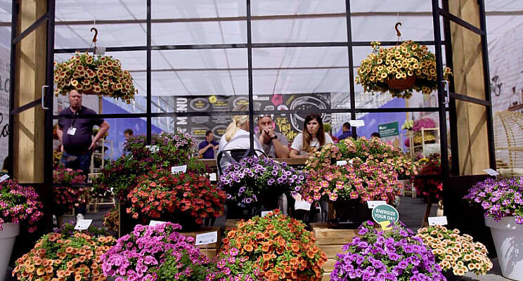 Laatste dag FlowerTrials