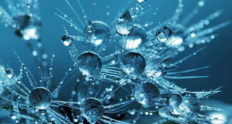 Miljoeneninvestering voor nanobubble-technologie Miljoeneninvestering voor nanobubble-technologie