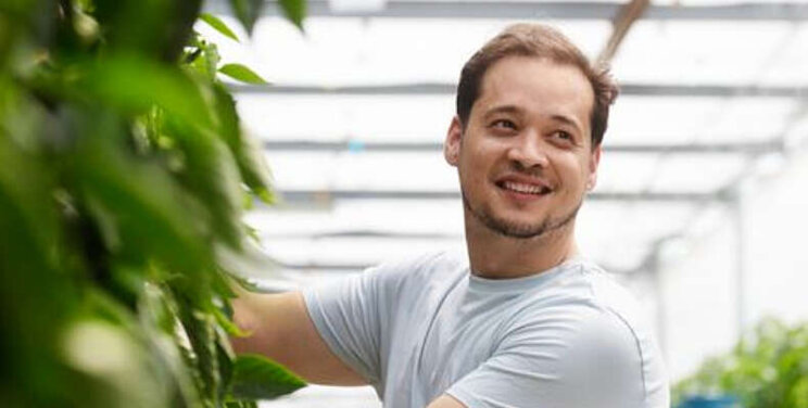 Meer flexibele contracten Meer flexibele contracten