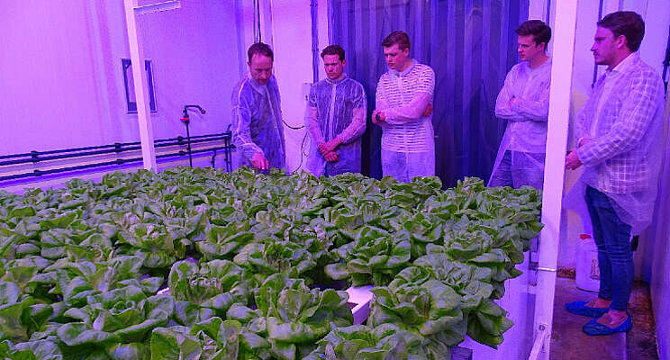 Greenery-ondernemers kijken naar toekomst Greenery-ondernemers kijken naar toekomst