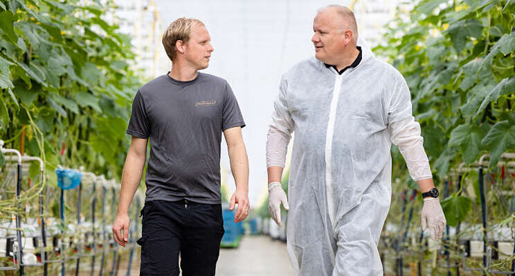 Arbeidsbesparing bij GreenValley dankzij een nieuwe staarthaak Arbeidsbesparing bij GreenValley dankzij een nieuwe staarthaak