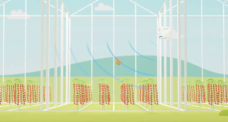 PATS-C lanceert animatie en organiseert webinars PATS-C lanceert animatie en organiseert webinars
