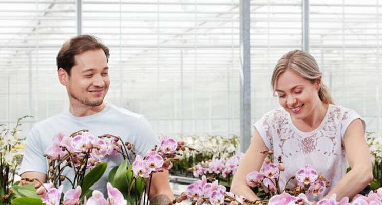 Aandachtspunten voor tijdige ontvangst BSN Aandachtspunten voor tijdige ontvangst BSN