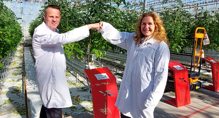Eurofiber partner Tomatoworld Eurofiber partner Tomatoworld