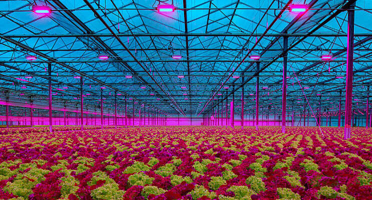 Powerplus Group en Oreon bundelen hun krachten Powerplus Group en Oreon bundelen hun krachten
