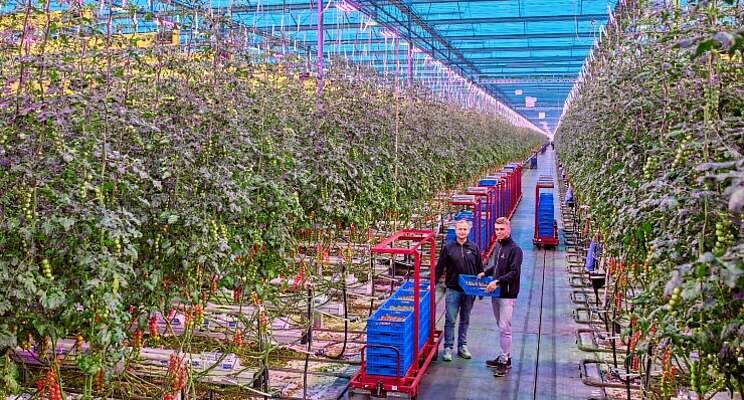 Roots stapt over op gloednieuw LED-systeem Roots stapt over op gloednieuw LED-systeem